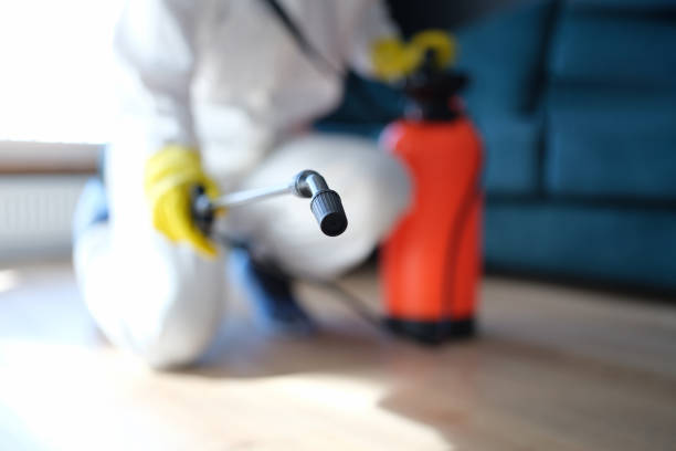 Best Air Quality Testing for Mold Spores  in Pleasureville, PA