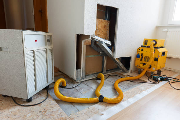 Dehumidification Services in Pleasureville, PA